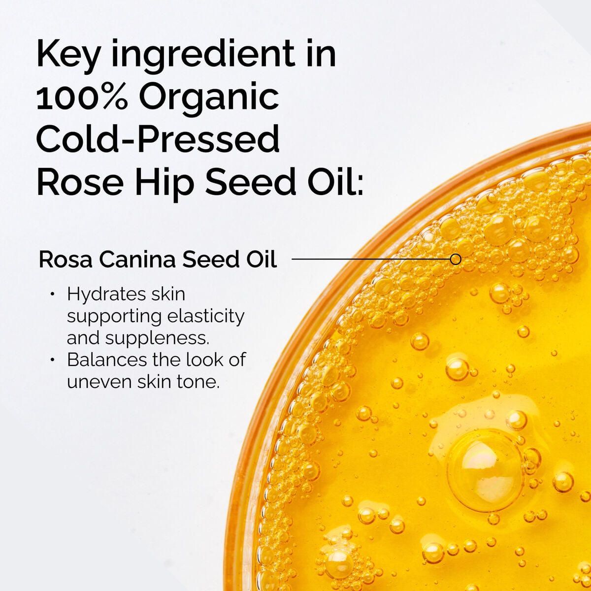 100-organic-cold-pressed-rose-hip-seed-oil-e6 FY25-D41247-ORD-Web-PDP-100-Rose-Hip-Oil-1x1-EN-2.jpg