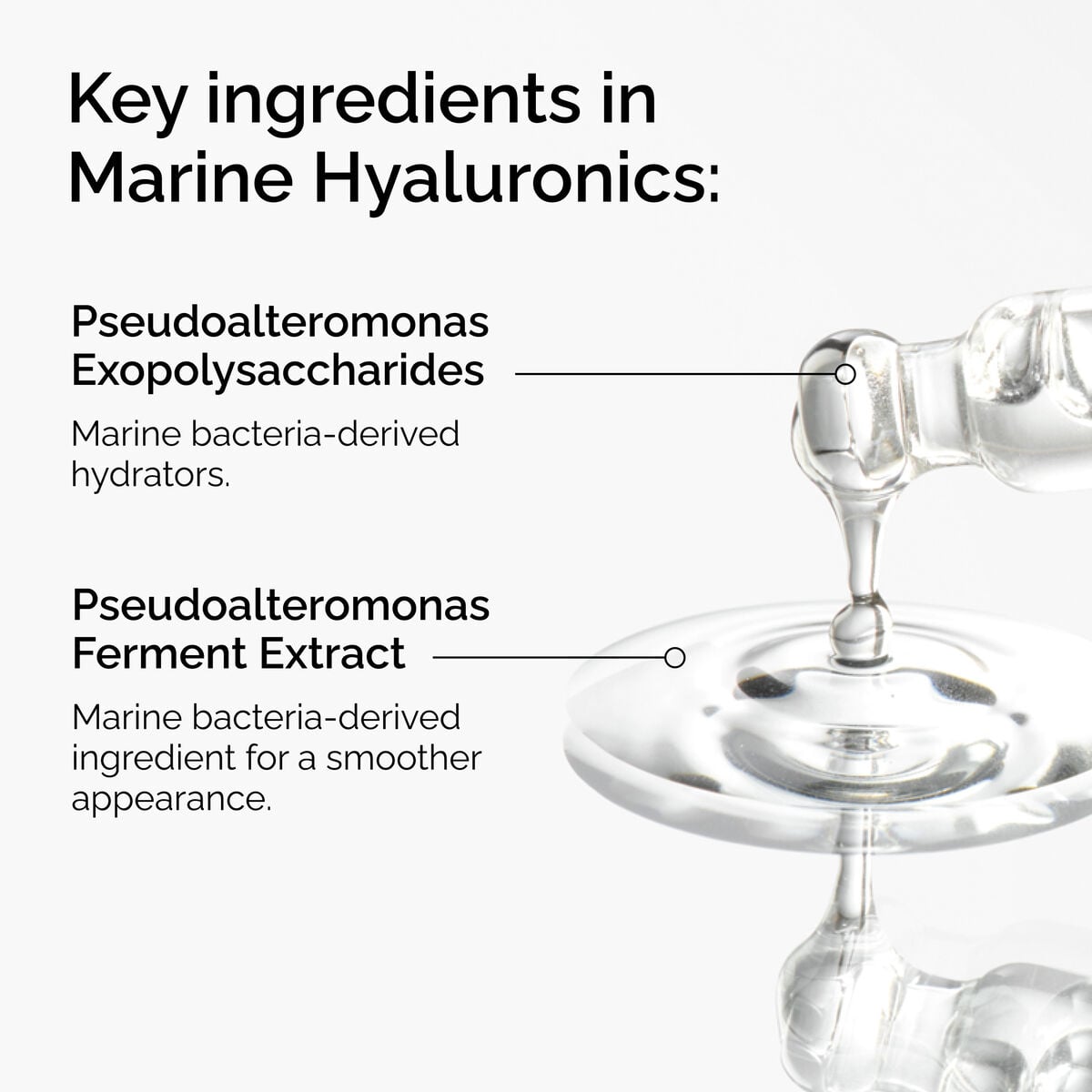 marine-hyaluronics-e2 FY25-D41247-ORD-Web-PDP-Marine-Hya-1x1-EN-2a.jpg
