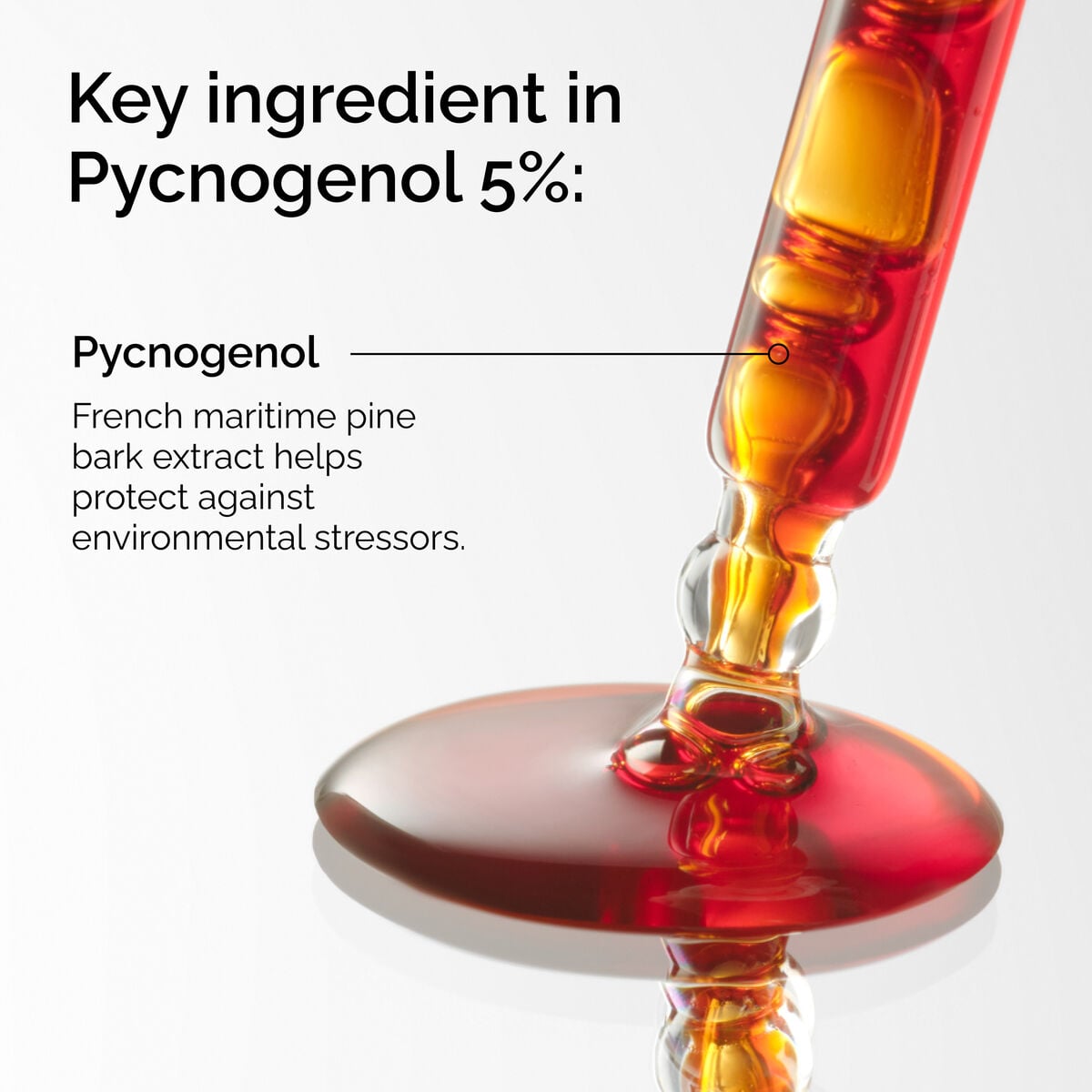 pycnogenol-5-b3 FY25-D41247-ORD-Web-PDP-Pyc-5pct-1x1-EN-2a.jpg
