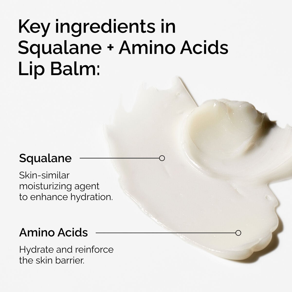 squalane-amino-acids-lip-balm-j1 FY25-D41247-ORD-Web-PDP-Sql-Amino-Lip-1x1-EN-2a.jpg