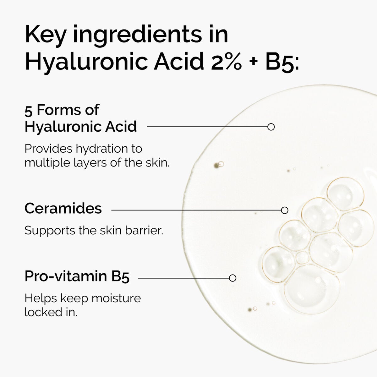 hyaluronic-acid-2-b5-with-ceramides-e8 ord-hyaluronic-acid-2pct-b5-hydrating-serum-ingredients-graphic.jpg