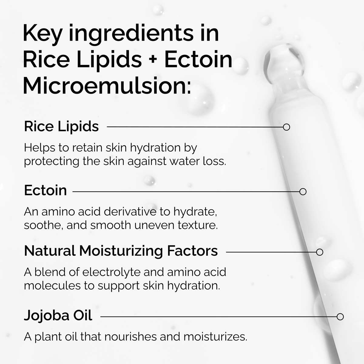 rice-lipids-ectoin-microemulsion-f2 ord-rice-lipids-ectoin-microemulsion-key-ingredients.png