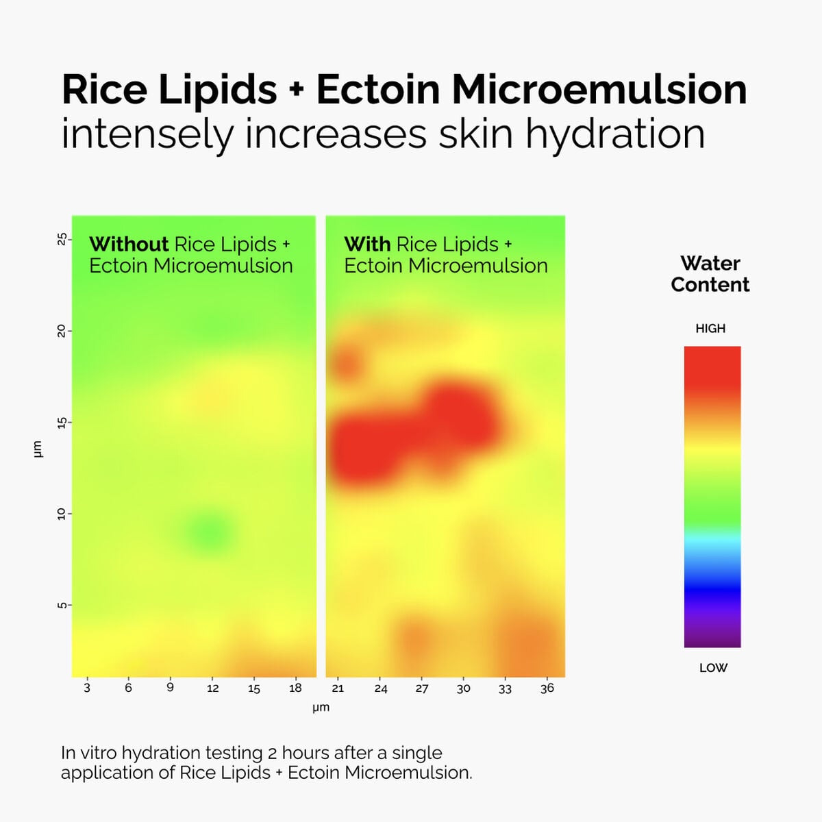 rice-lipids-ectoin-microemulsion-f2 ord-rice-lipids-ectoin-microemulsion-thermal-before-after.jpg
